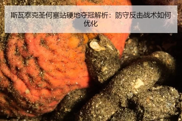 si-wa-tai-ke-sheng-he-sai-zhan-ying-di-duo-guan-jie-xi-fang-shou-fan-ji-zhan-shu-ru-he-you-hua-2-327.jpg