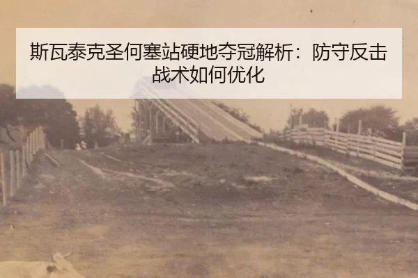 si-wa-tai-ke-sheng-he-sai-zhan-ying-di-duo-guan-jie-xi-fang-shou-fan-ji-zhan-shu-ru-he-you-hua-3-826.jpg